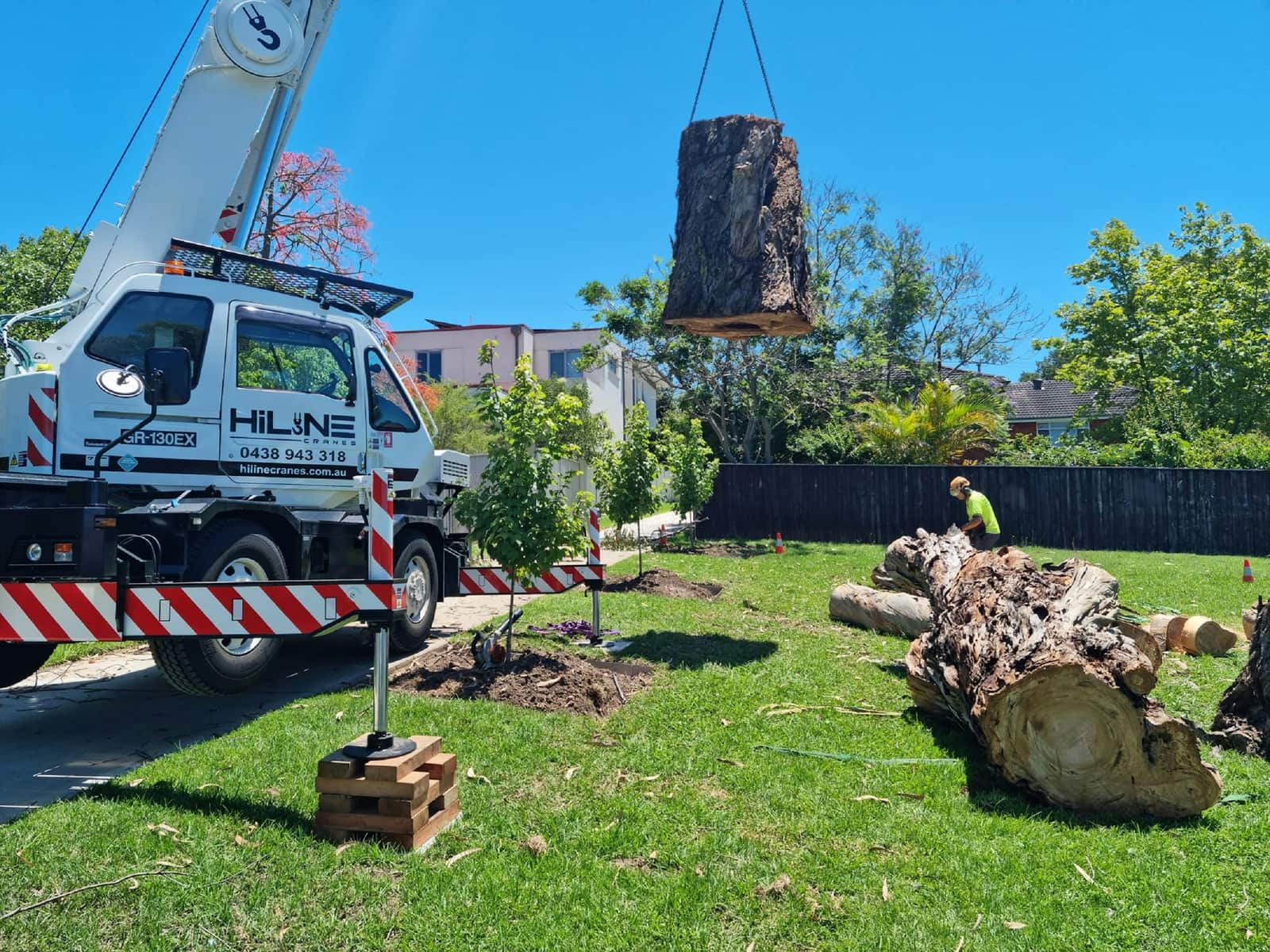 Stump grinding service in Dallas Texas