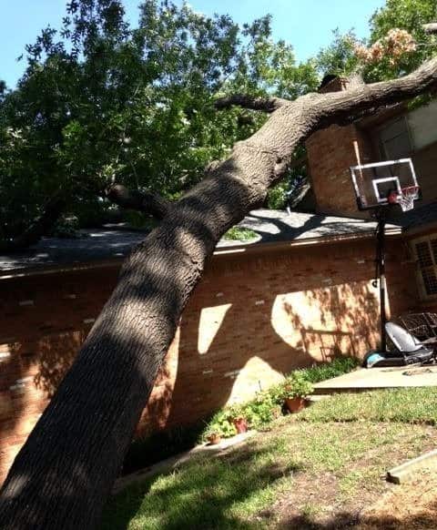 Jim and Austen Breaux, Personal Touch Tree Service